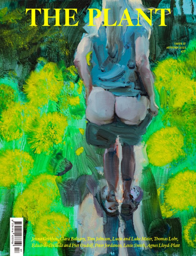 The Plant cover